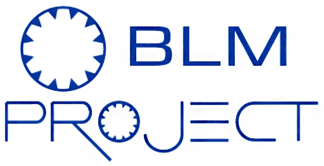 BLM PROJECT